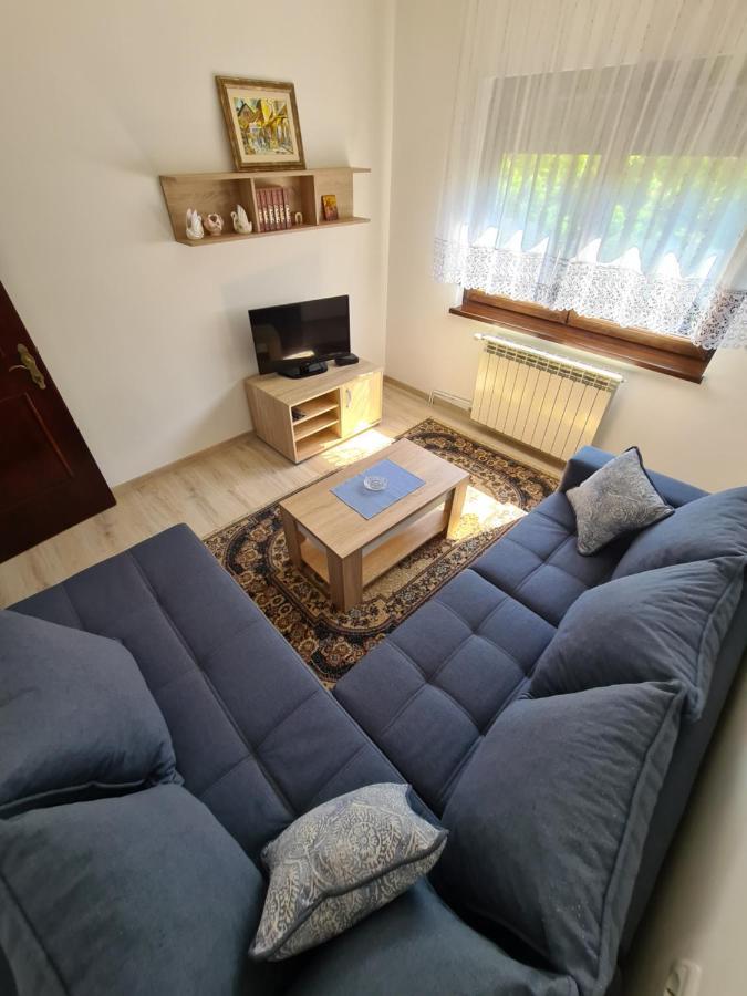 Ferienwohnung In Pavlovic Banja Koviljača Exterior foto